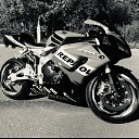 ���� �������, ������, 43 ���� - ��������� 2 ������� 2024