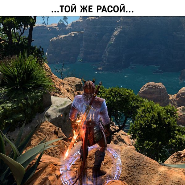 ����� ������������ ������ ���� - 6