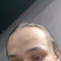 , 29, 