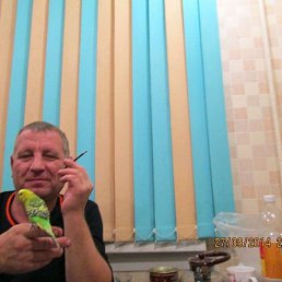 ���� ��������, ������, 53 ���� - ��������� 18 ������� 2026