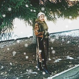 ����, �����