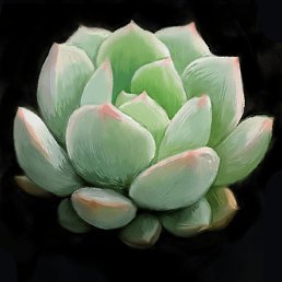 Eliza, ������, 24 ����