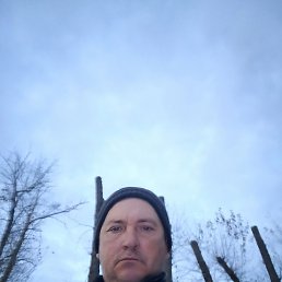 ������, 44 ����, ������