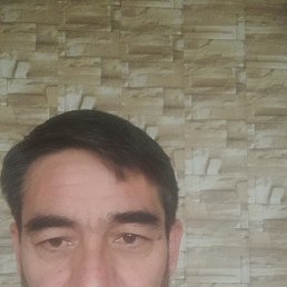 ���� ������, �������, 46 ��� - ��������� 15 ������� 2024