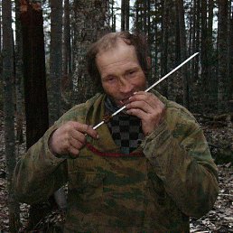 �����, 38 ���, �����