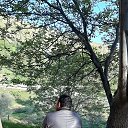 ���� �����, �����, 41 ��� - ��������� 19 ����� 2024 � ������ ���� ����������