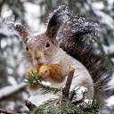 ���� �����, ���������� - ��������� 11 ������ 2023 � ������ ���� ����������