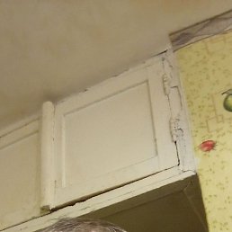  , 53, 
