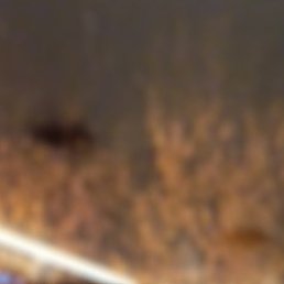 �����, ����, 59 ���