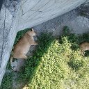 ���� ������, ������, 65 ��� - ��������� 1 ����� 2024 � ������ ���� ����������