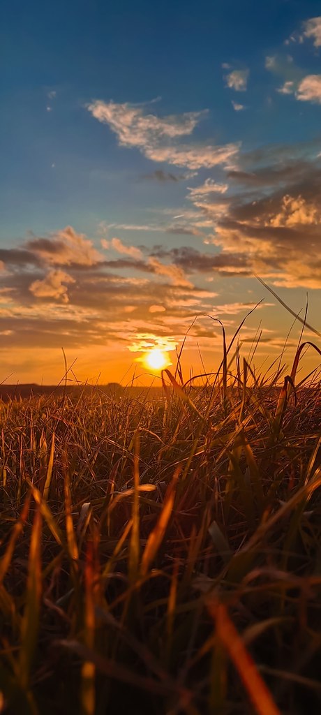 po�a����� �e�o� �e�pa �a�o���e�� co����. ����c�a� o��ac�� - 2