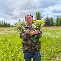 ���� ���������, ������, 50 ��� - ��������� 13 ������ 2026