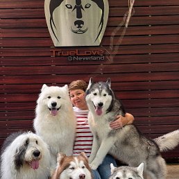 ���� ������, �����-���������, 57 ��� - ��������� 26 ������� 2025