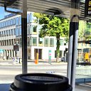 ���� �����, ����� - ��������� 20 ������� 2024 � ������ ���� ����������