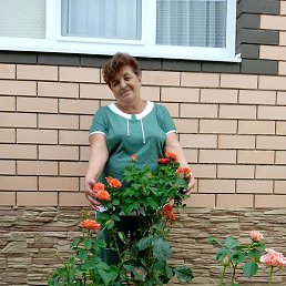 ������, �������, 67 ���