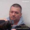 ���� ������, ������, 50 ��� - ��������� 10 ������� 2026