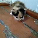 ���� �������, ������, 52 ���� - ��������� 8 ������� 2023 � ������ ���� ����������