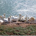 ������ Helgoland �� ������� ���� ����������