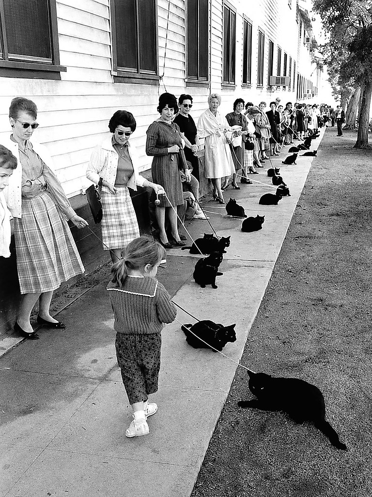 ����� �������� ������� � ������� ���������. � 1961 ���� � ��������� ������ ���� �� ����� ��������� ... - 2