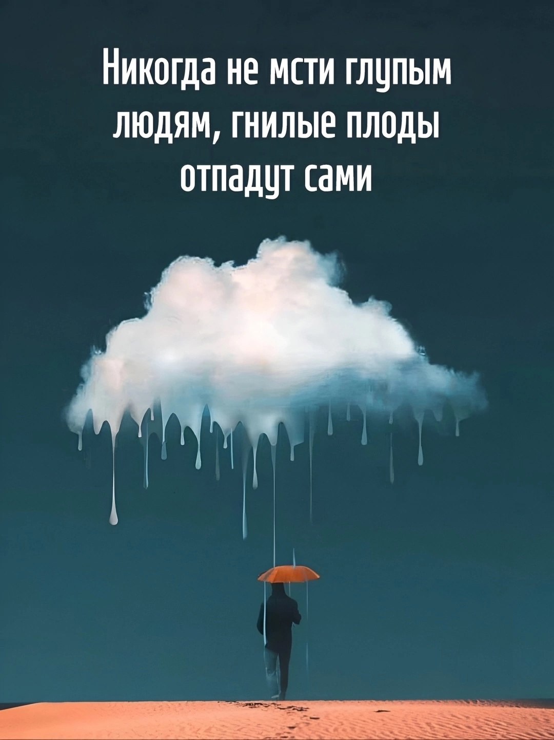  - 23  2025  13:42