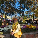 ���� ���������, �����������, 68 ��� - ��������� 25 ������� 2026 � ������ ���� ����������