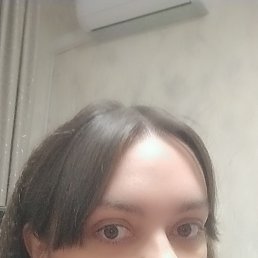 ����, 33 ����, ������