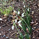 ���� V@lenti, ����� - ��������� 29 ������ 2026 � ������ �������� �����