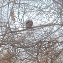 ���� �������, ������������, 51 ��� - ��������� 8 ������� 2024 � ������ ������ � ������