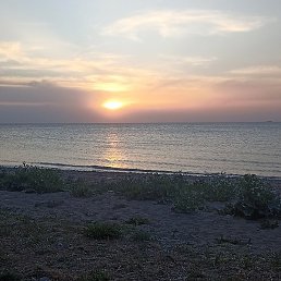 ������, ���������, 48 ���