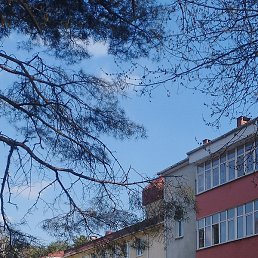 �����, ����, 49 ���