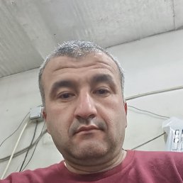 , 41 , 