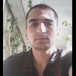 , 37, 