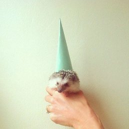 ������, �������, 34 ����