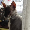 ���� �����, �������, 56 ��� - ��������� 28 ����� 2025