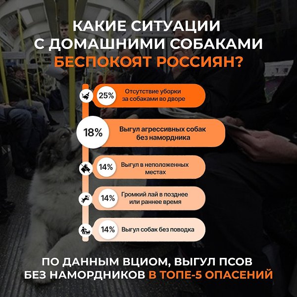 Хозяев крупных собак, выгуливающих своих питомцев без намордников, следует наказывать! Собаки с ... - 2
