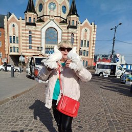 , 61, 