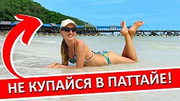 �������: 5 ������ �������, ������� ������ ����� � ��������