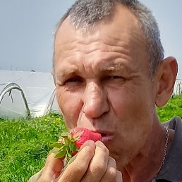 ������ �����, ���������, 53 ����