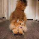 ���� ����, ��������� - ��������� 18 ����� 2026 � ������ ������ ��������