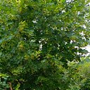 ���� �����, ������, 53 ���� - ��������� 30 ���� 2025 � ������ ���� ����������