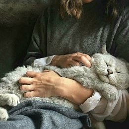 ����������� �����, ��� �������. ��� ��������. �.��������