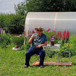 ������� �����������, ������, 65 ���
