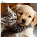 ���� ������, ���������, 62 ���� - ��������� 16 ������ 2025 � ������ ������ ��������