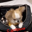 ���� Goha, ������, 57 ��� - ��������� 30 ������� 2024