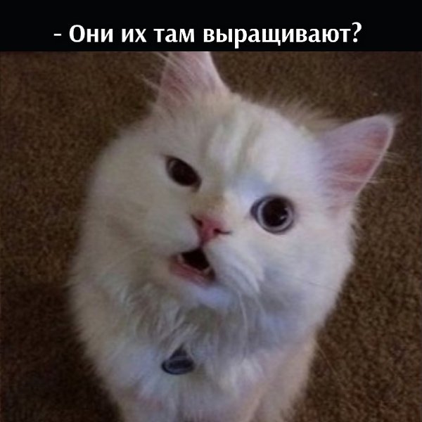       - 25  2025  12:46 - 3