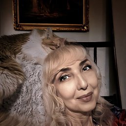 ��������, �������