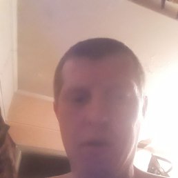 �����, ����, 37 ���