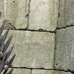 �������, ������, 54 ����