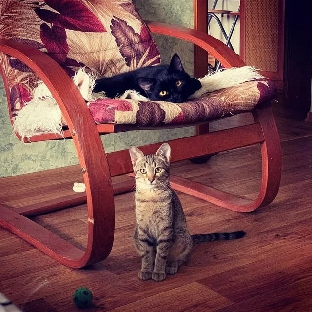 �� ���, ��� ������ � ���� ������ ) - 2