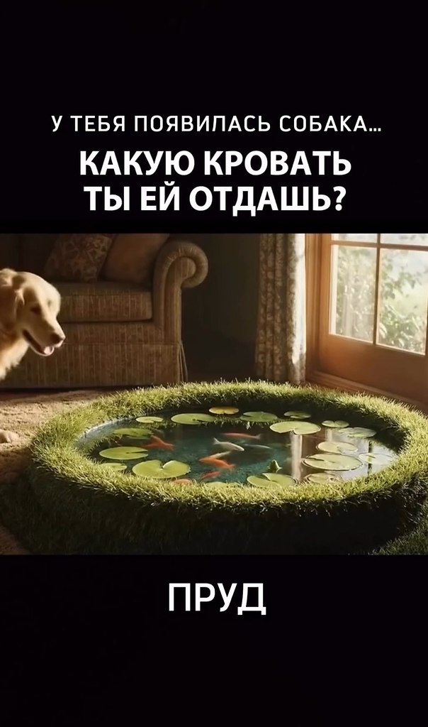 Выбор сложноват - 2